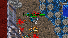 Crazer Siocher on screen