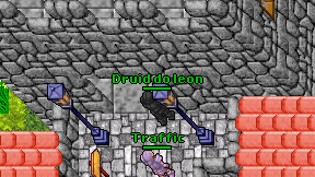 Druid do leon on screen