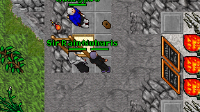 Noharis on screen