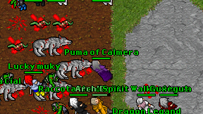 Puma of Calmera on screen