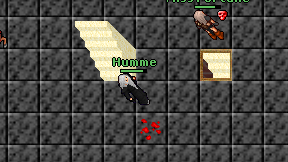 Humme on screen