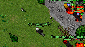 Strongrider on screen