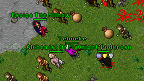 Tehueke on screen