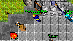 Varbergs Bois on screen