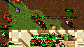 Pako Wrokz on screen