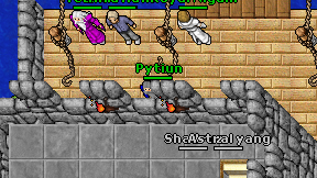 Pytiun on screen