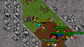 Arawynn on screen