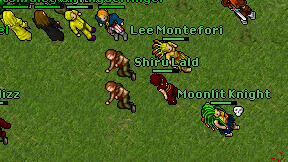 Shiru Lald on screen