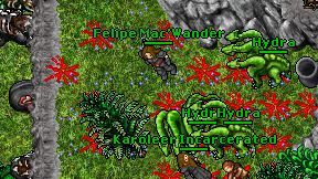 Felipe Mac'Wander on screen