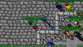 Cichon Druid on screen