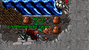 Vevive on screen