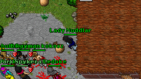 Lady Nuddlar on screen
