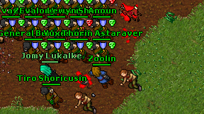 Zoolin on screen
