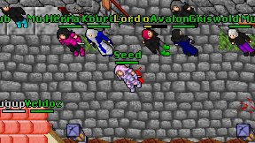 Seed on screen