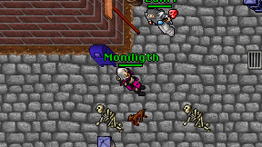Moniligth on screen