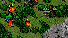 Lord Tenchu on screen