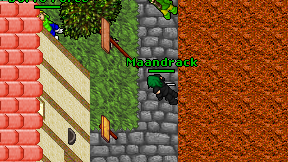 Maandrack on screen