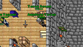 Amelvax Tavan on screen