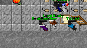 Druidosinhu on screen