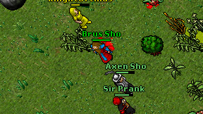 Brus Sho on screen