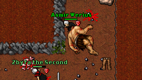 Asmir Werius on screen
