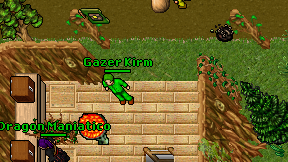 Gazer Kirm on screen