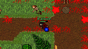 Raivue on screen