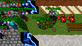 Rayor Fix on screen