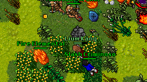 Liuw Kang on screen
