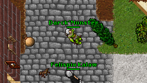 Darck'Monster on screen