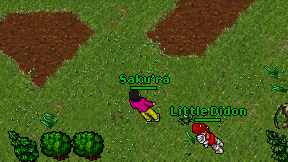 Saku'ra on screen