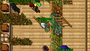 Guliwer on screen