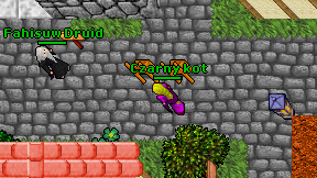 Czarny kot on screen