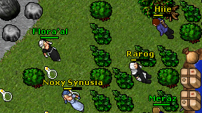 Flora'al on screen