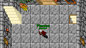 Flexuz on screen
