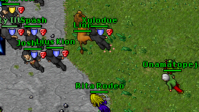 Rita Rodeo on screen