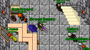 Green Bunny on screen