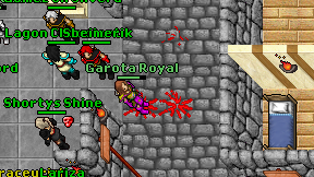 Garota Royal on screen