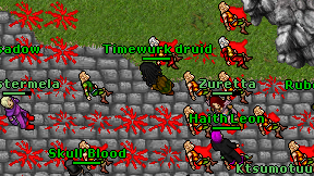 Timewurk druid on screen