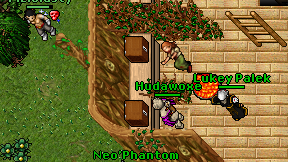 Hudawoxe on screen