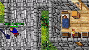 Anchoron on screen