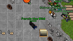 Forcis the Wild on screen