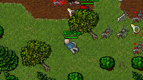 Ali'xe on screen