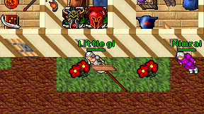 Little gi on screen