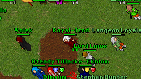 Royal-Izod on screen