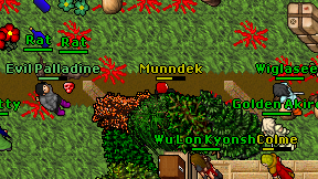 Munndek on screen