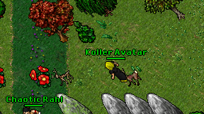 Koller Avatar on screen
