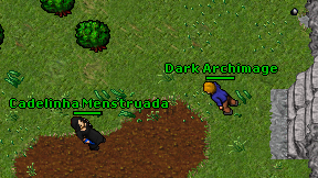 Dark Archimage on screen