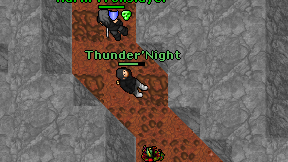 Thunder'Night on screen