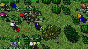 Roduk on screen